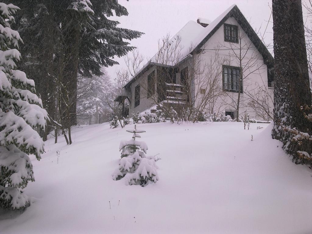 Casa Gabriela Villa Sinaia Room photo